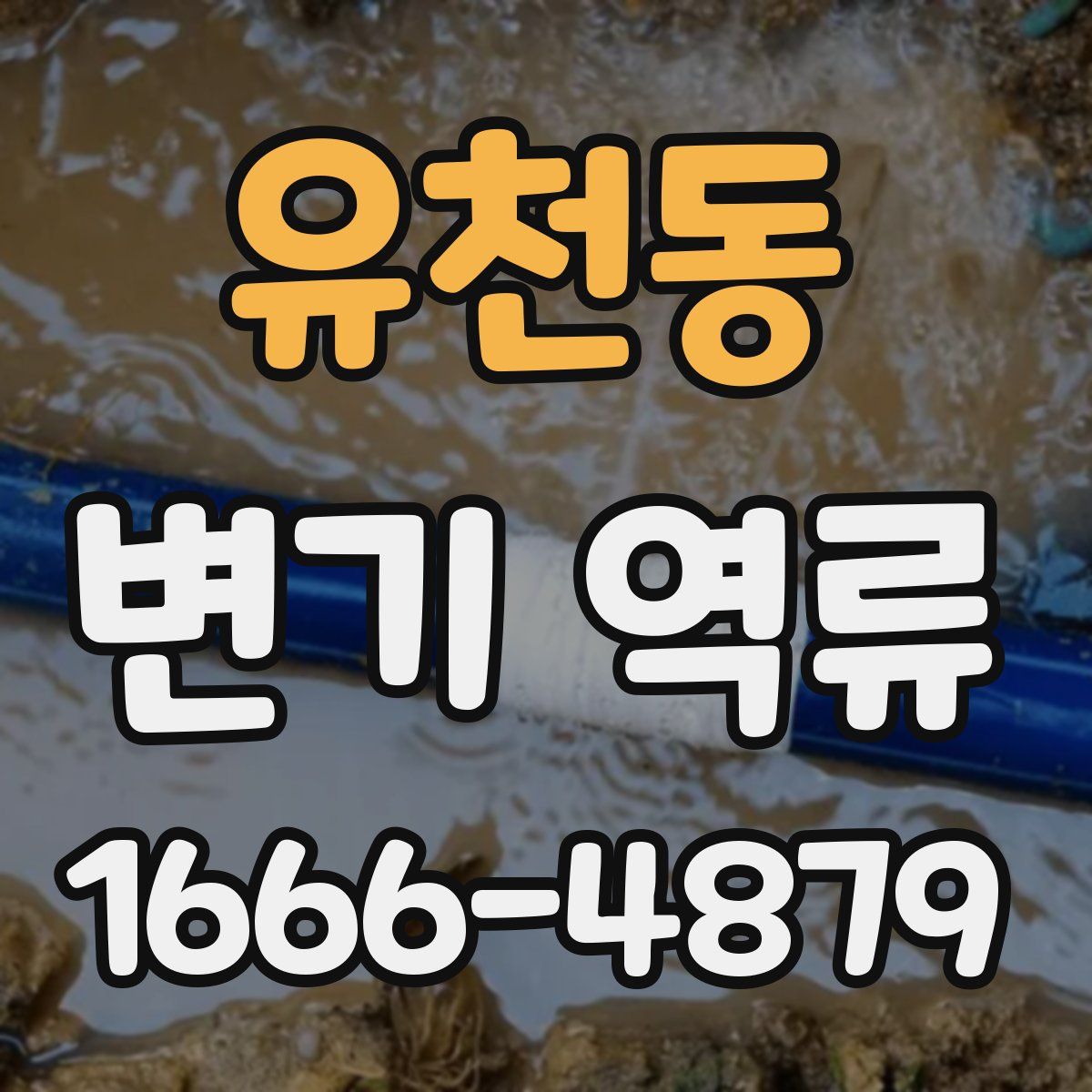 유천동 변기 역류