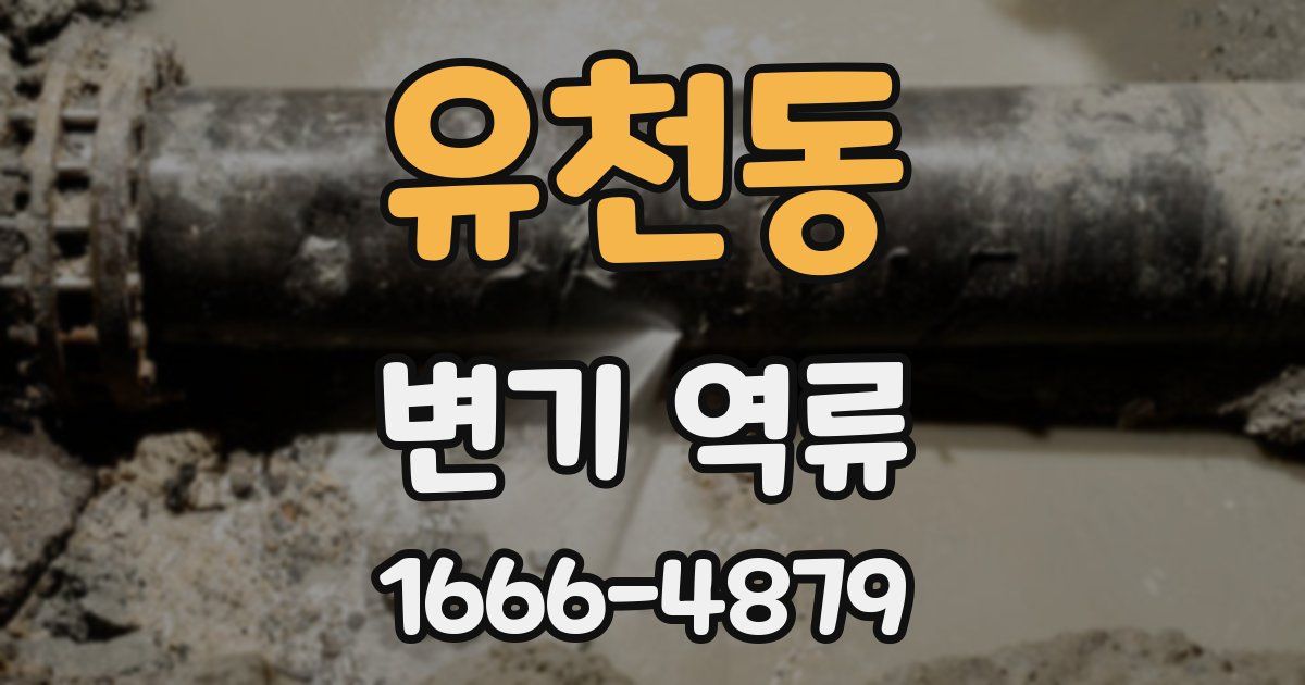 유천동 변기 역류