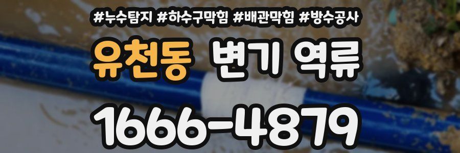 유천동 변기 역류