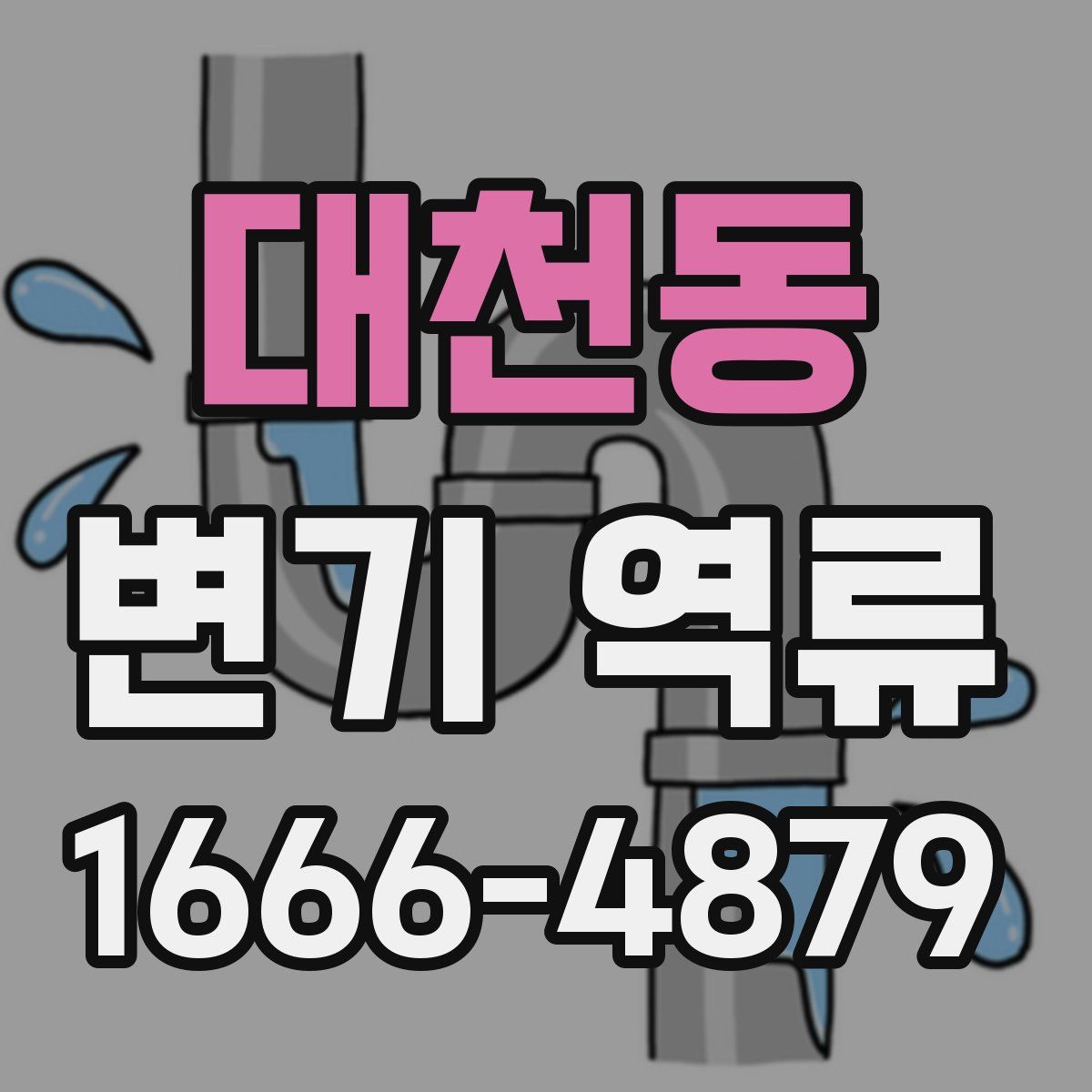 대천동 변기 역류