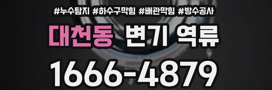 대천동 변기 역류