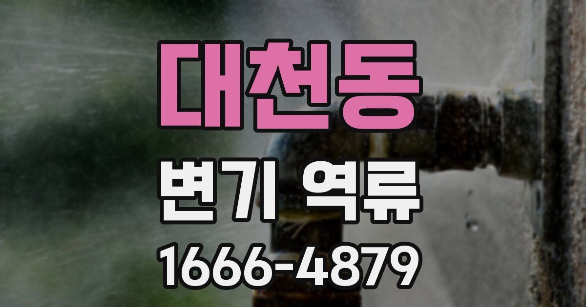 대천동 변기 역류