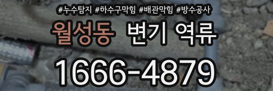 월성동 변기 역류