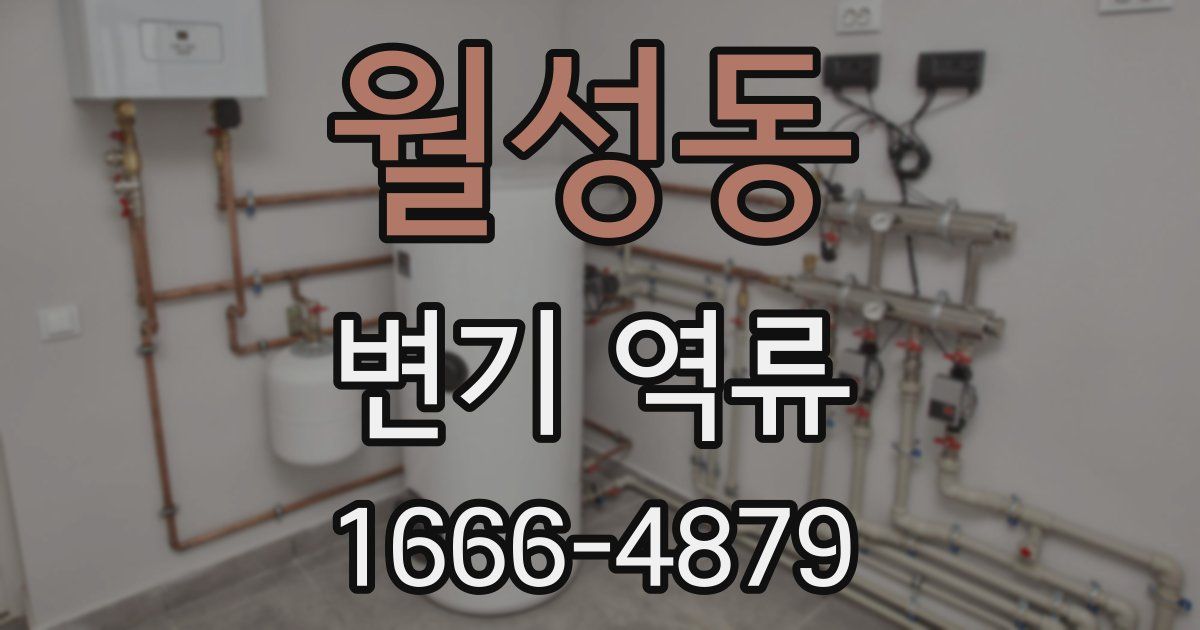 월성동 변기 역류