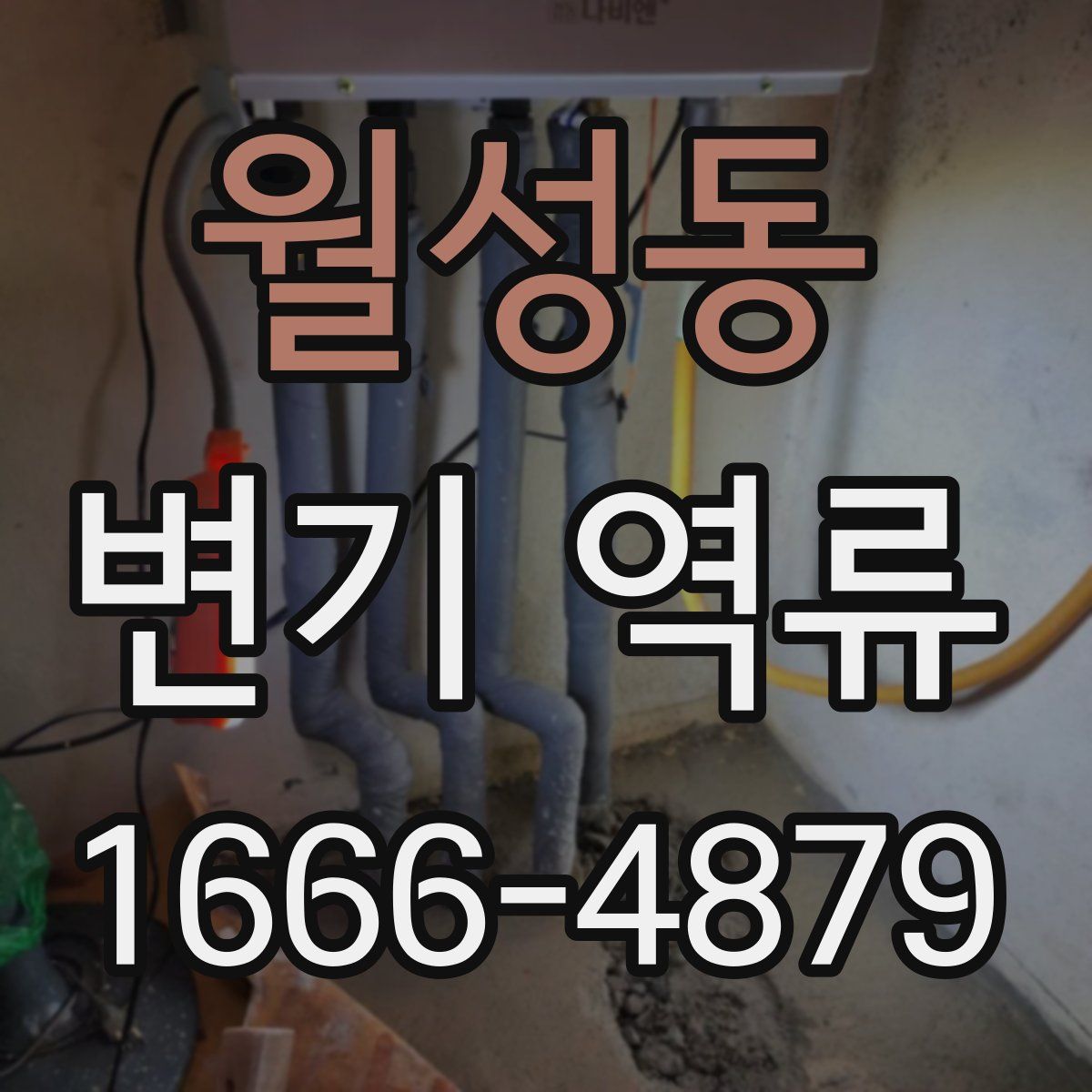 월성동 변기 역류