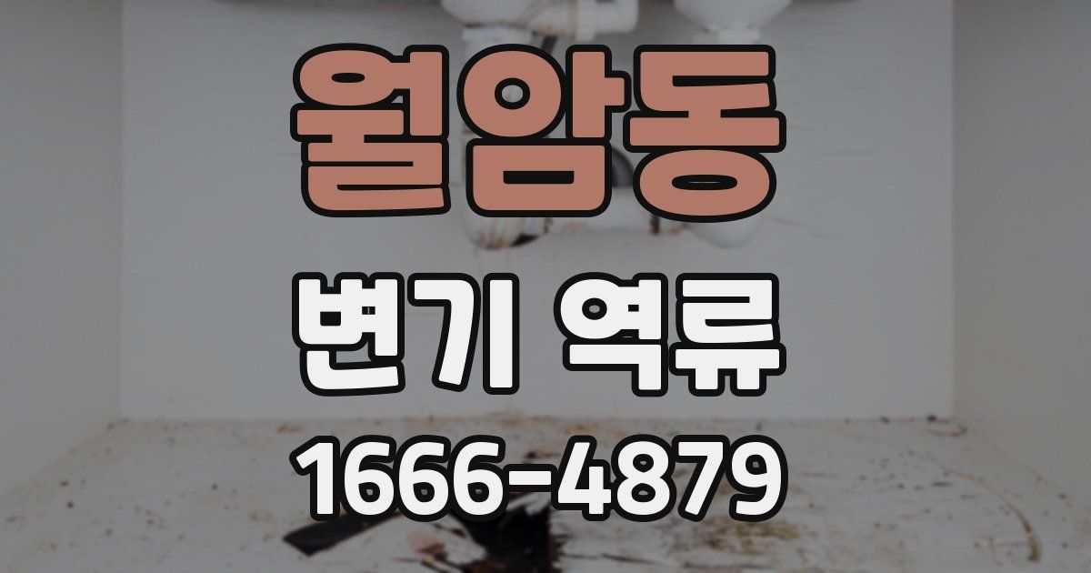 월암동 변기 역류