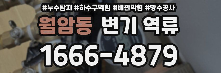 월암동 변기 역류