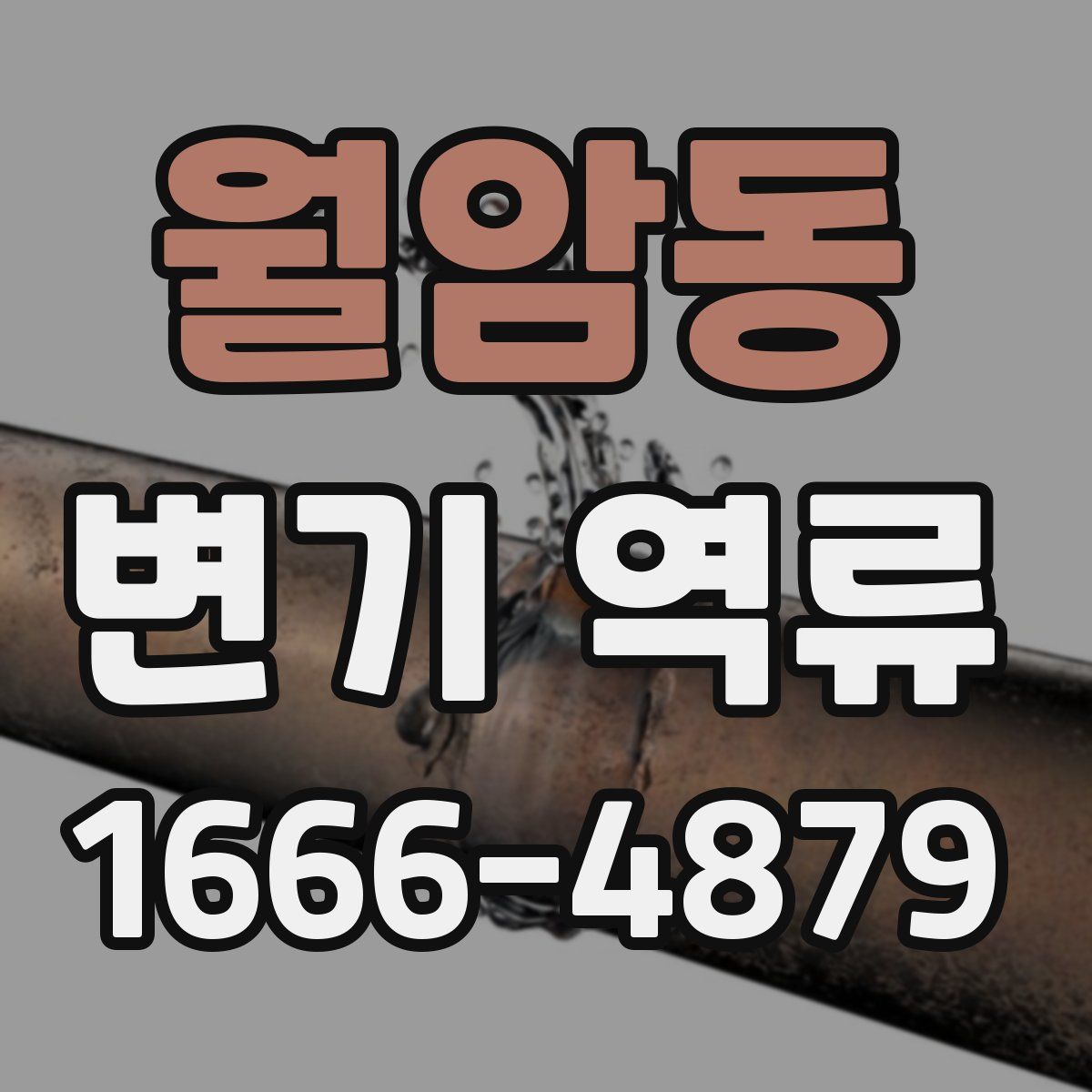 월암동 변기 역류