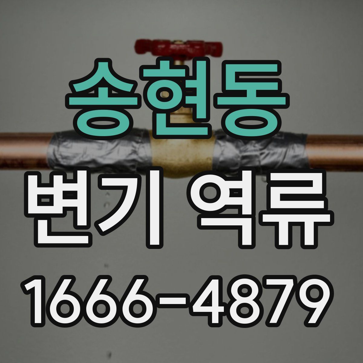송현동 변기 역류
