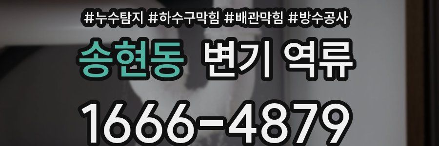 송현동 변기 역류