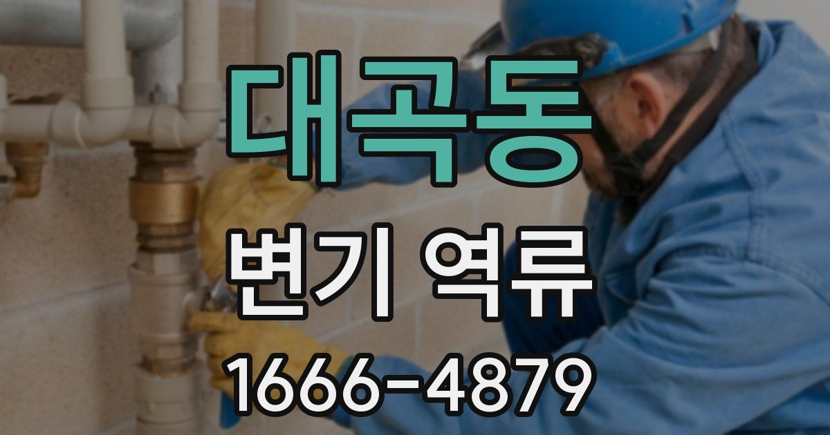 대곡동 변기 역류