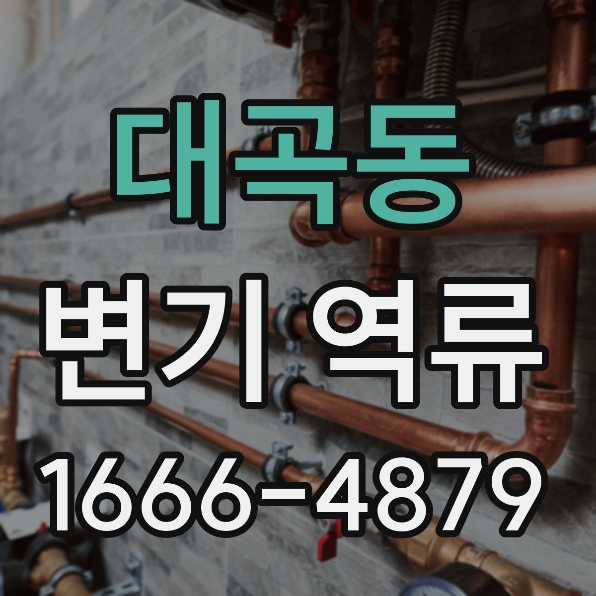 대곡동 변기 역류