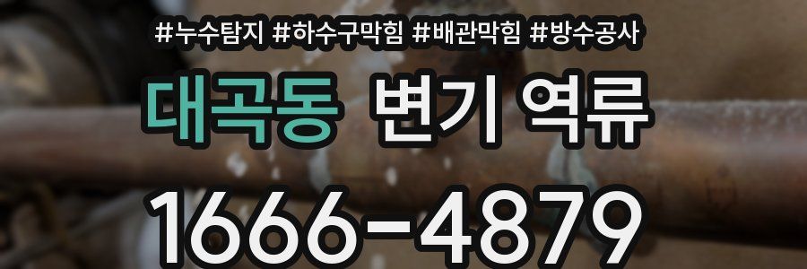 대곡동 변기 역류