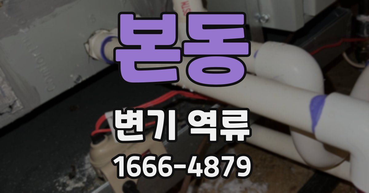 본동 변기 역류