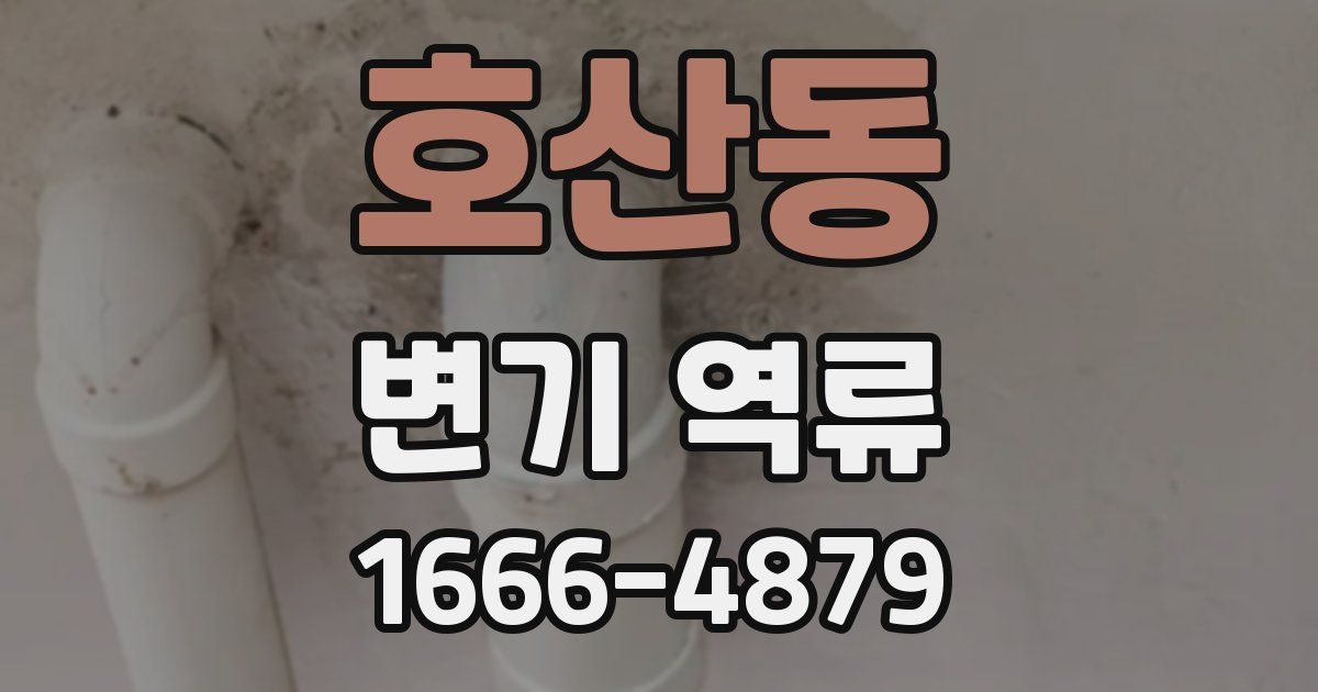 호산동 변기 역류