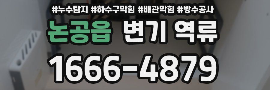 논공읍 변기 역류
