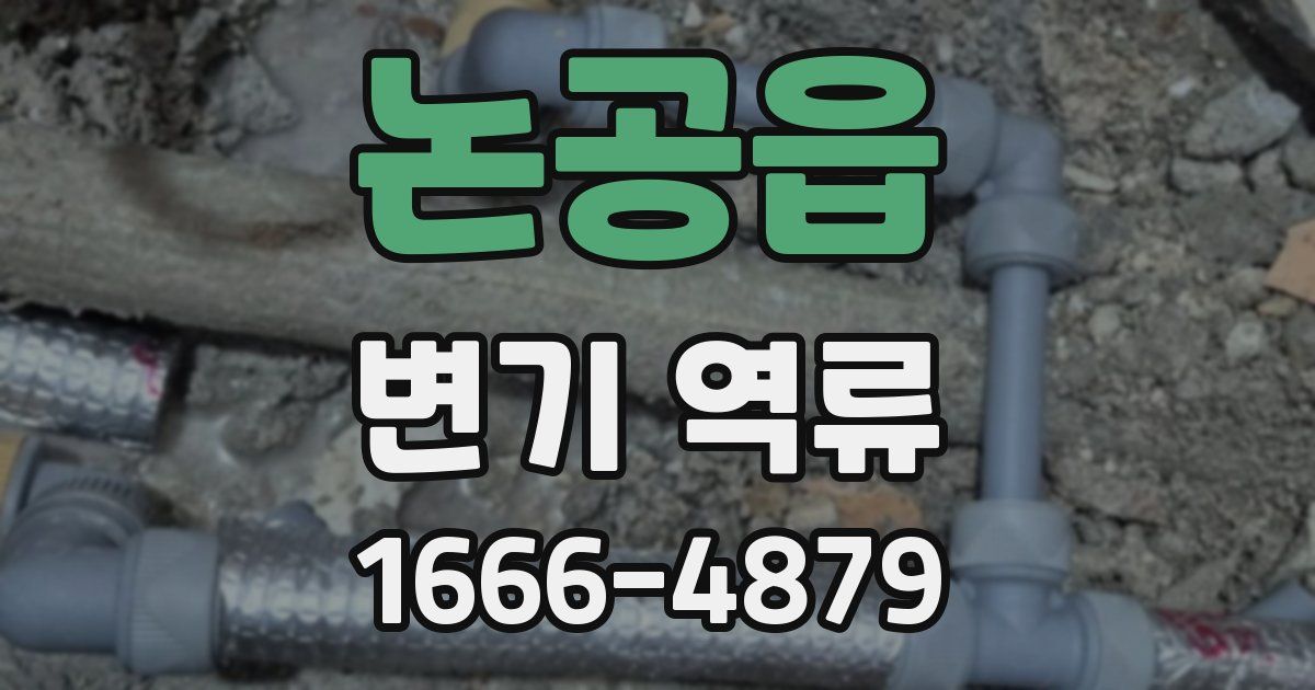 논공읍 변기 역류