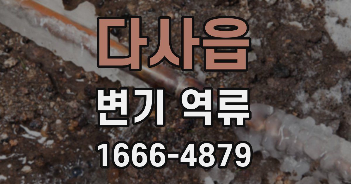 다사읍 변기 역류