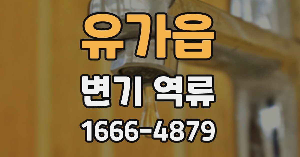 유가읍 변기 역류