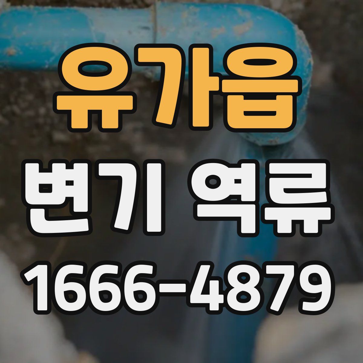 유가읍 변기 역류