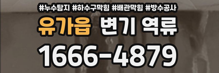 유가읍 변기 역류