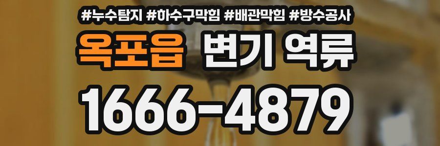 옥포읍 변기 역류