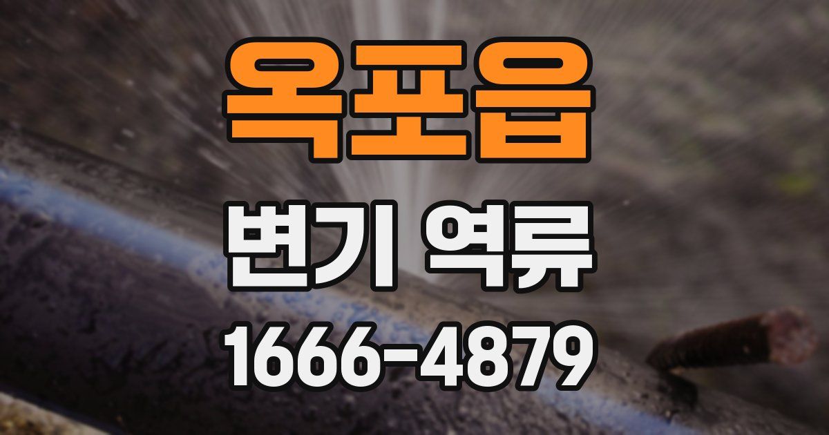 옥포읍 변기 역류