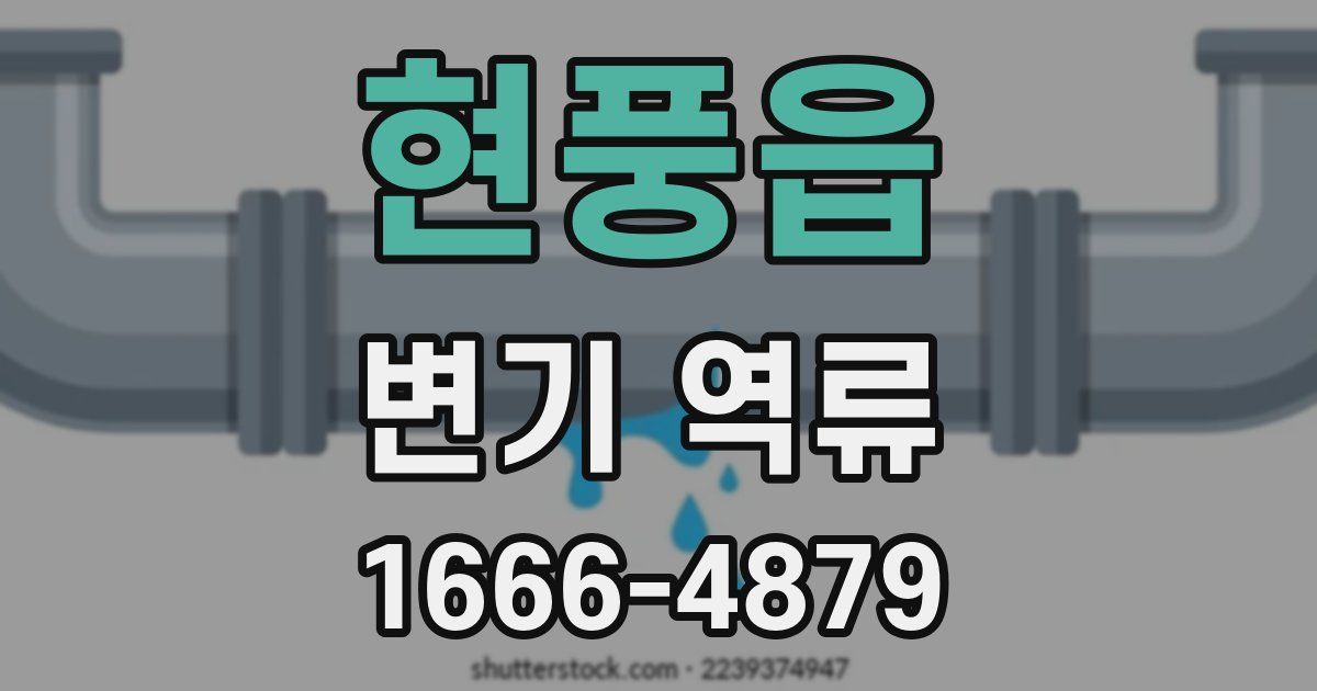 현풍읍 변기 역류