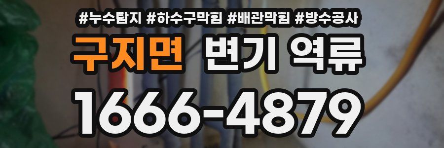 구지면 변기 역류