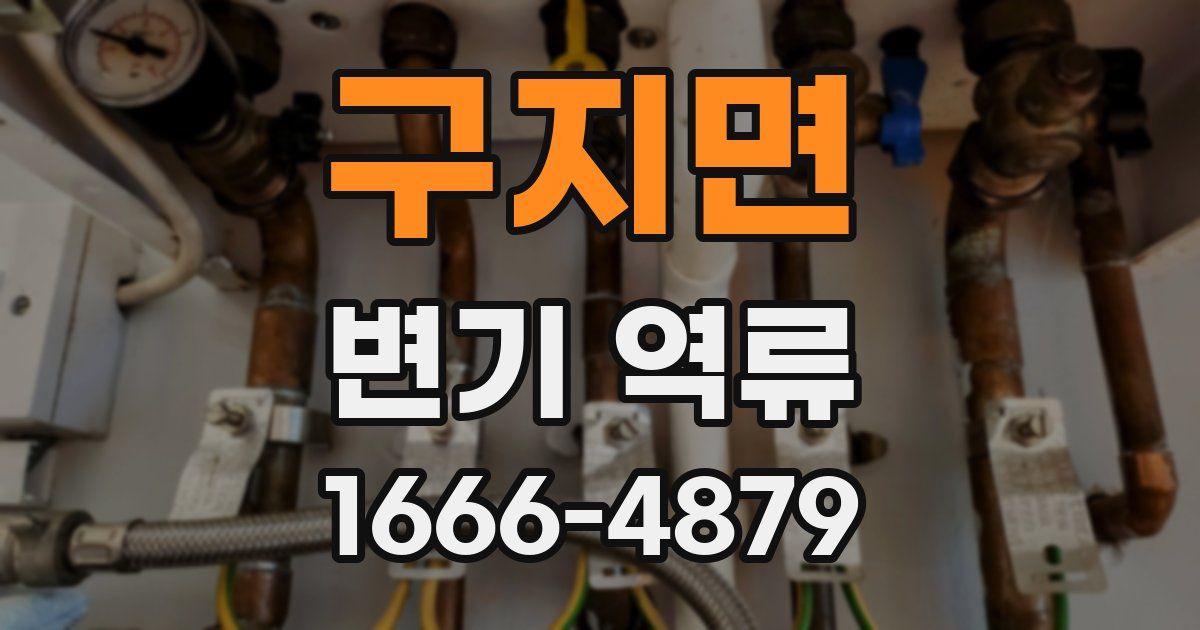 구지면 변기 역류
