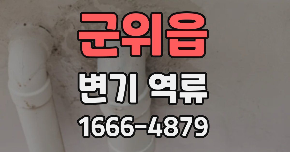 군위읍 변기 역류