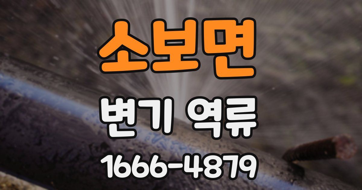 소보면 변기 역류