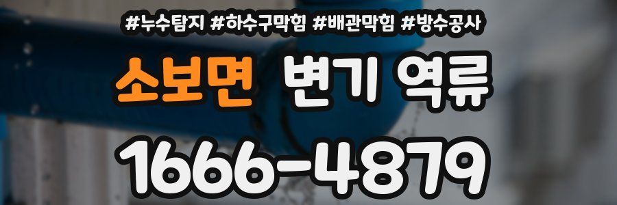 소보면 변기 역류