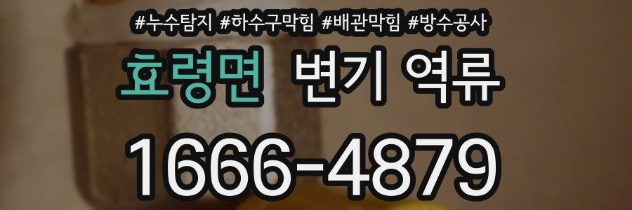 효령면 변기 역류