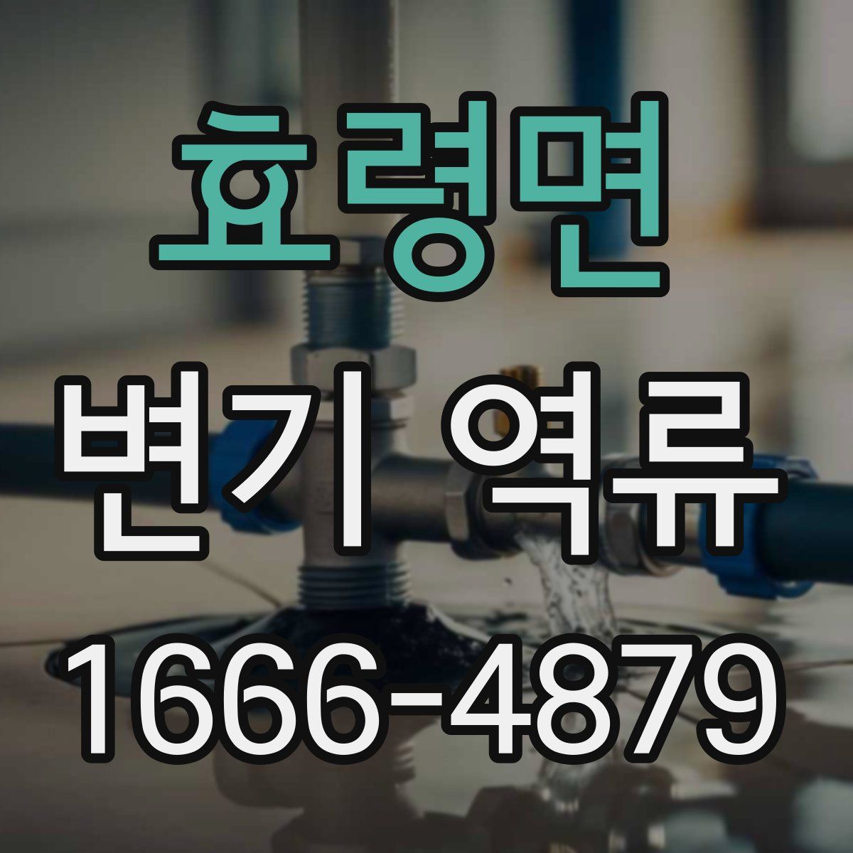 효령면 변기 역류