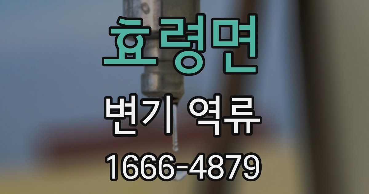 효령면 변기 역류