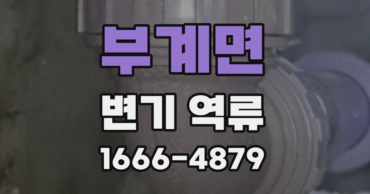 부계면 변기 역류