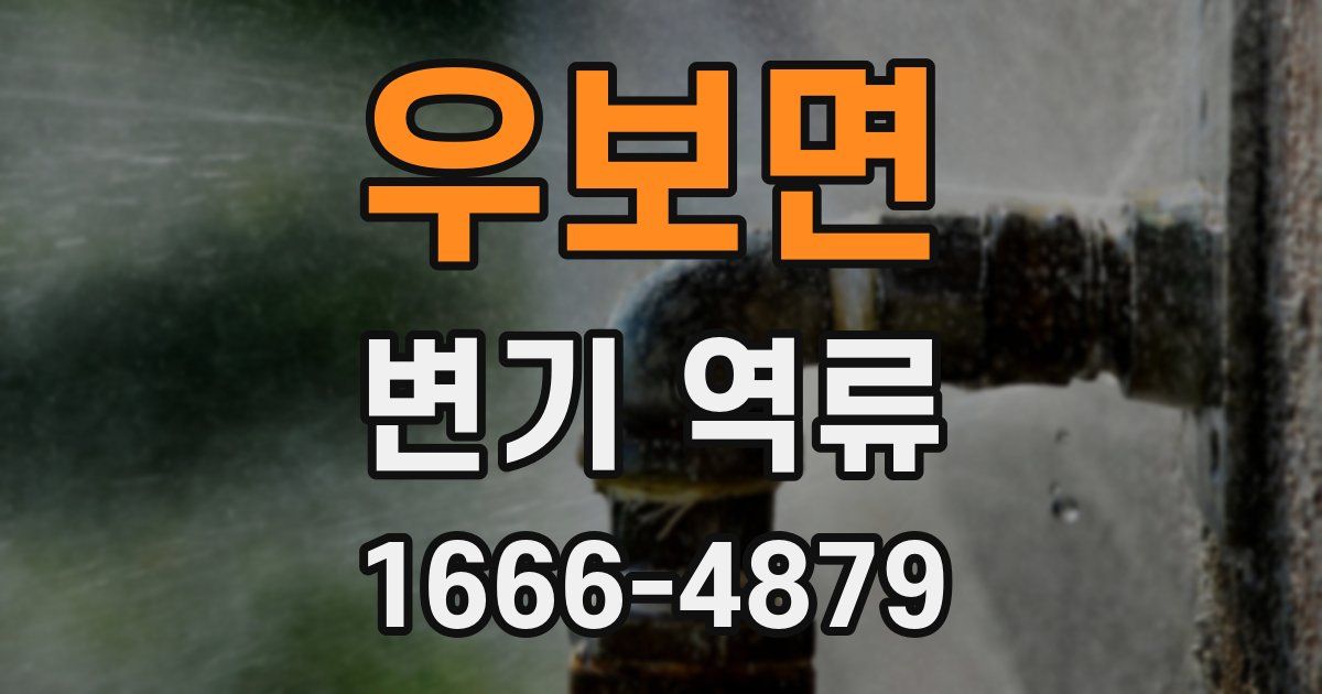 우보면 변기 역류