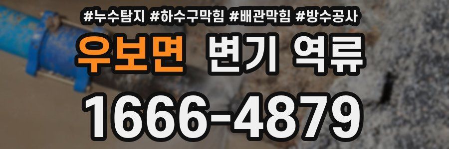 우보면 변기 역류
