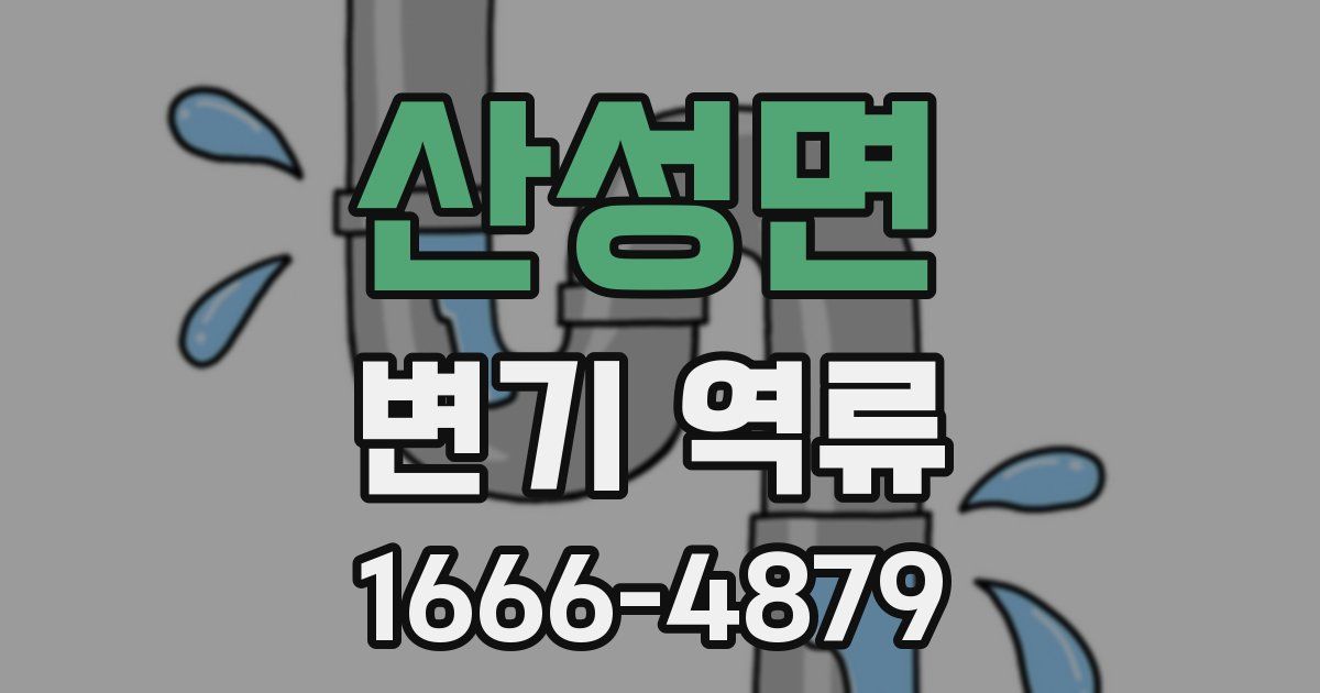 산성면 변기 역류