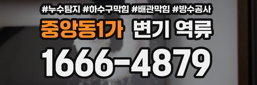 중앙동1가 변기 역류