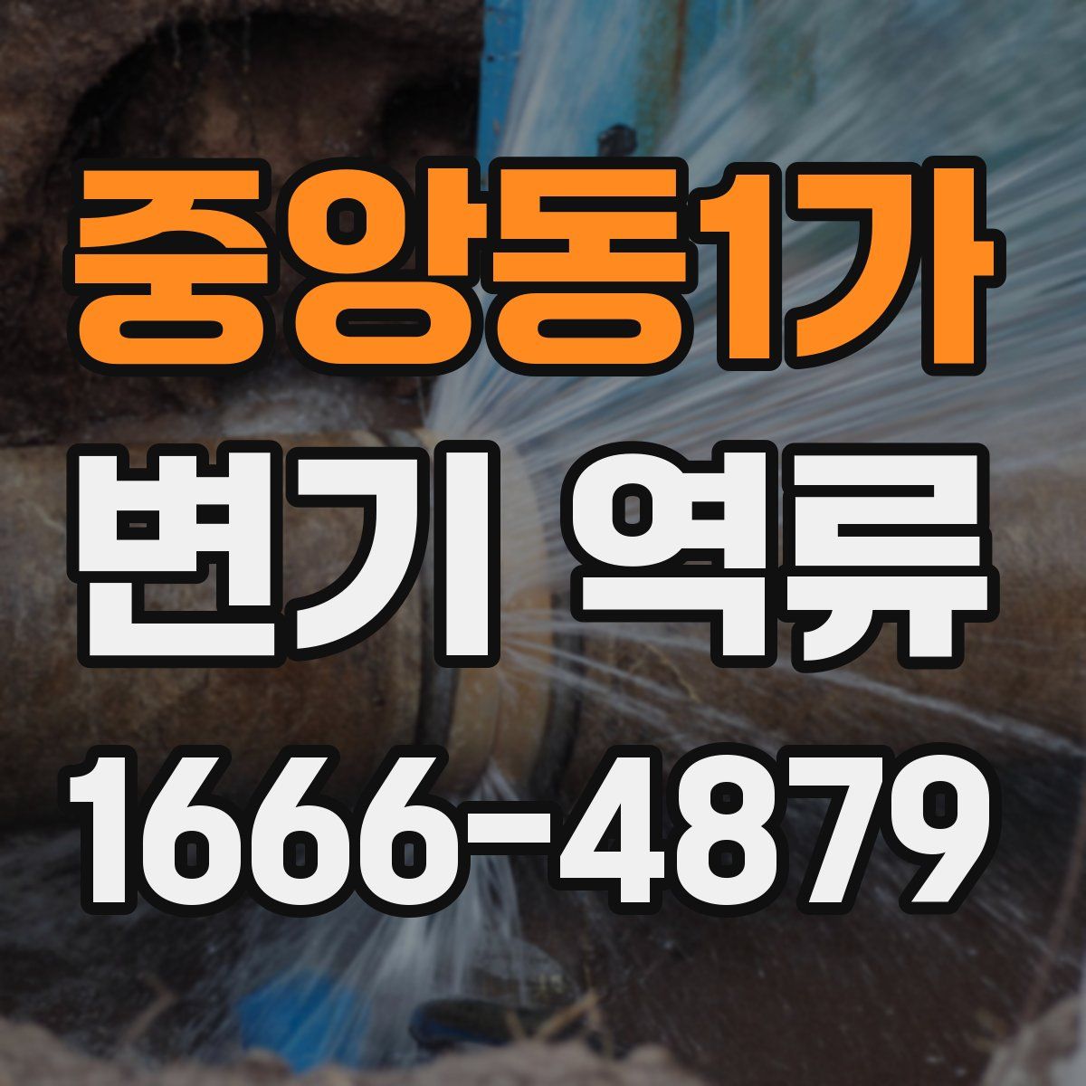 중앙동1가 변기 역류