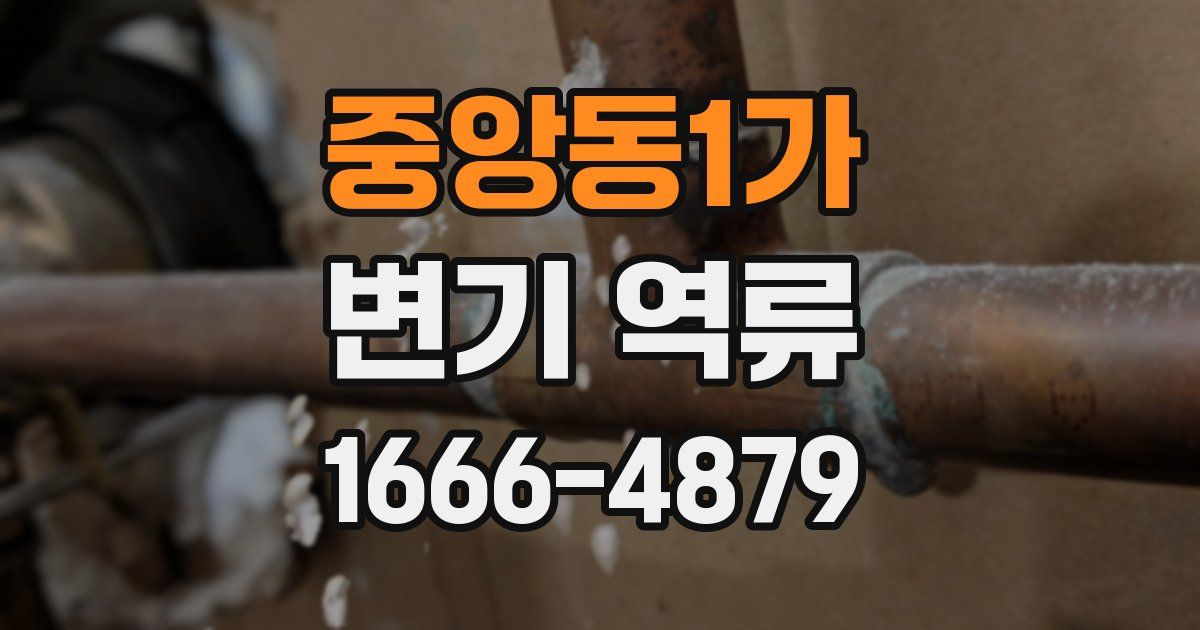 중앙동1가 변기 역류