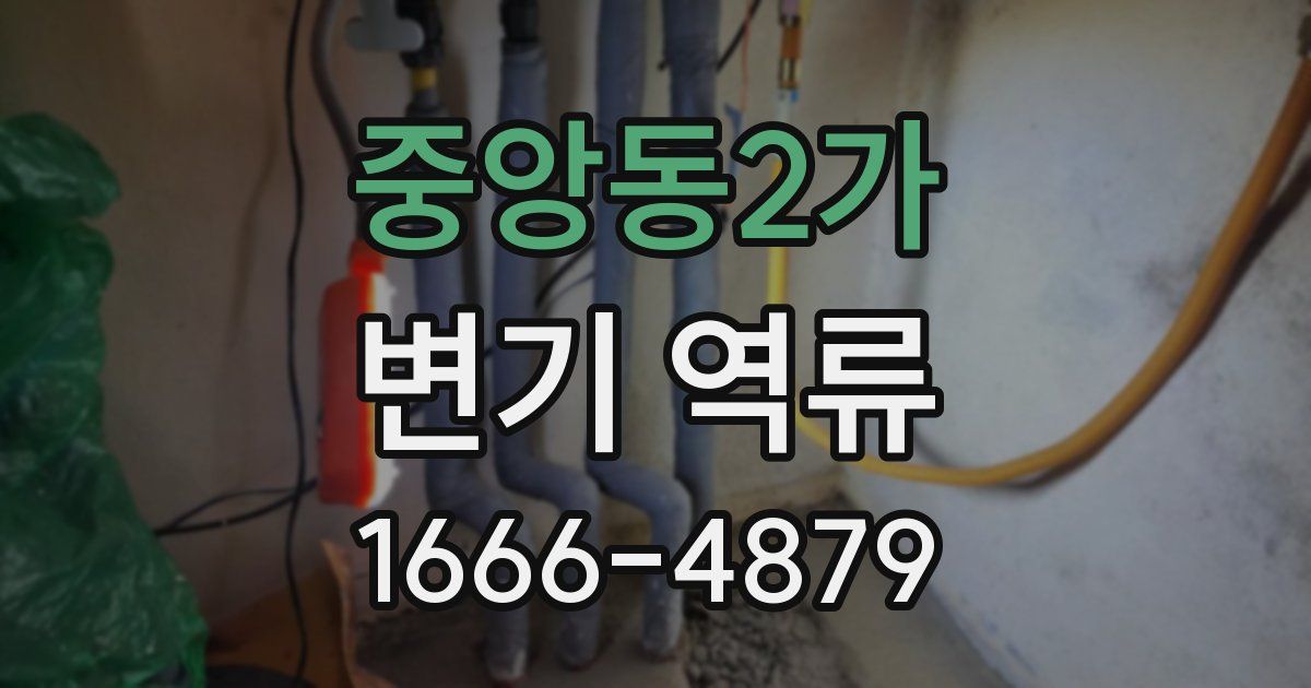 중앙동2가 변기 역류