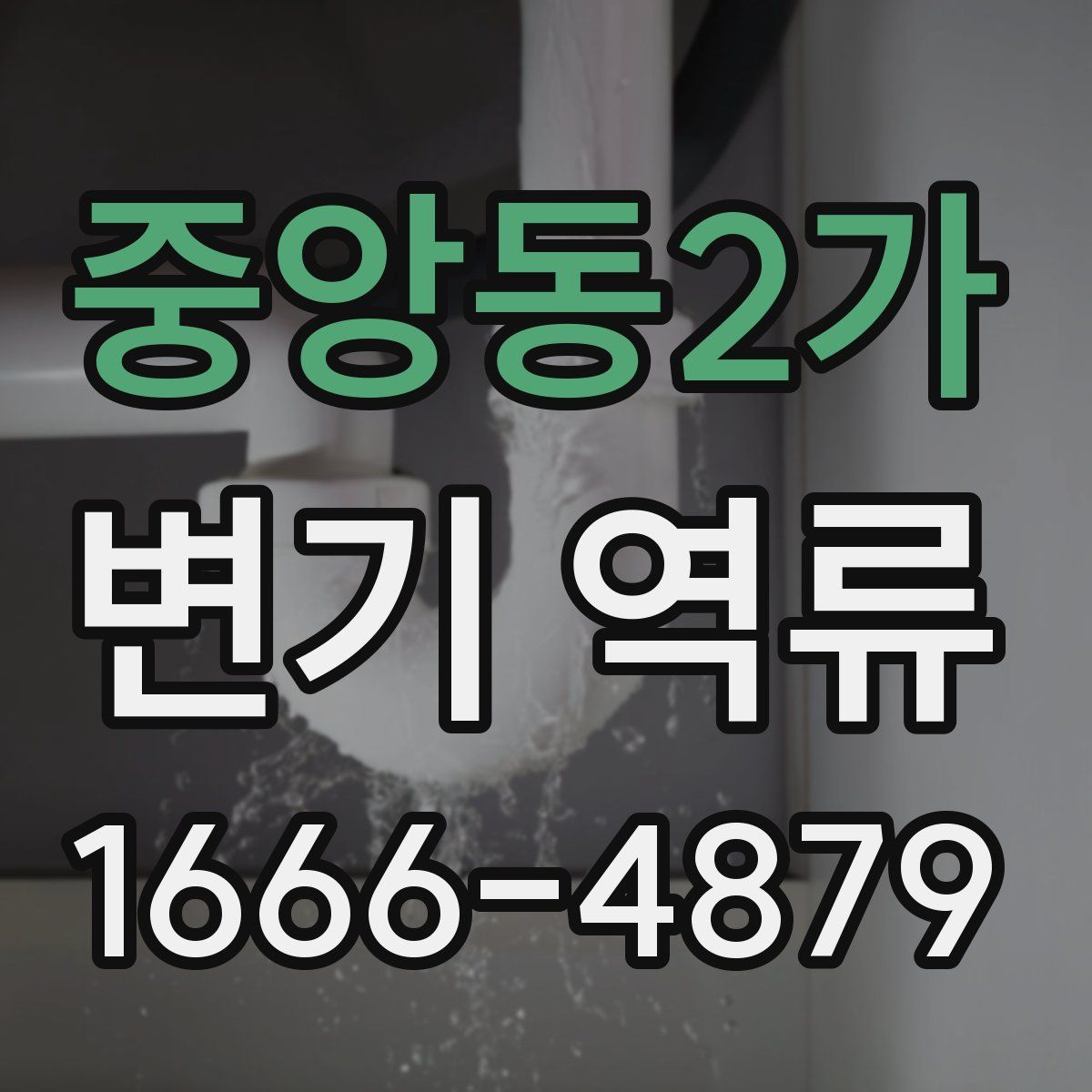 중앙동2가 변기 역류