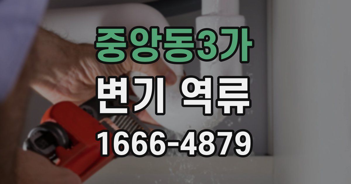 중앙동3가 변기 역류