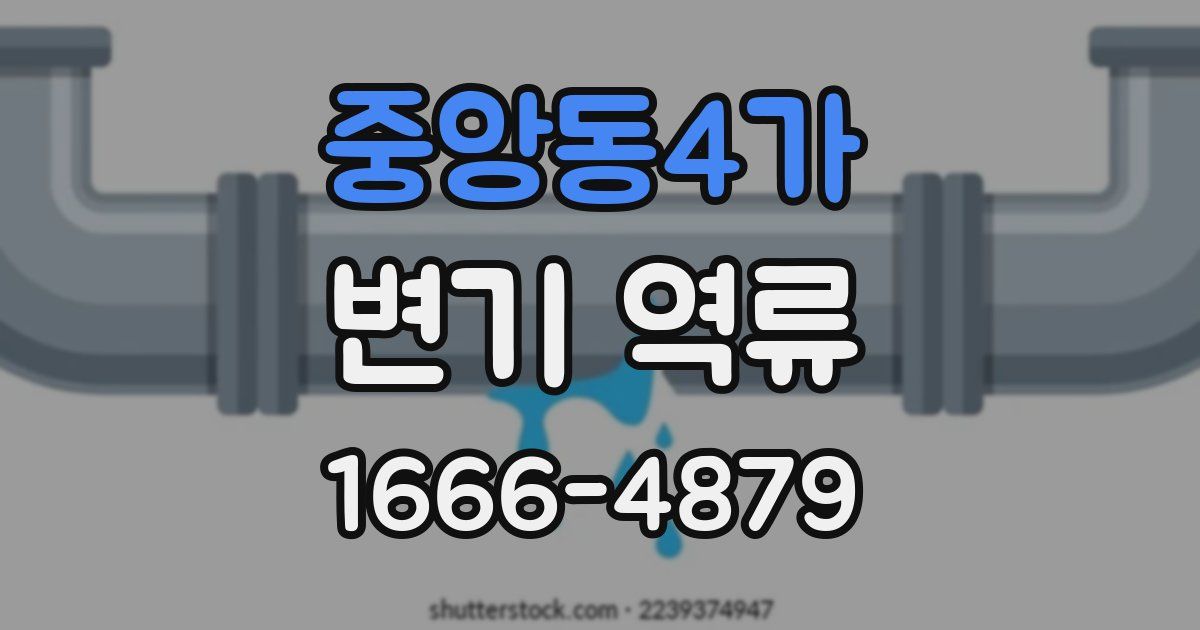 중앙동4가 변기 역류