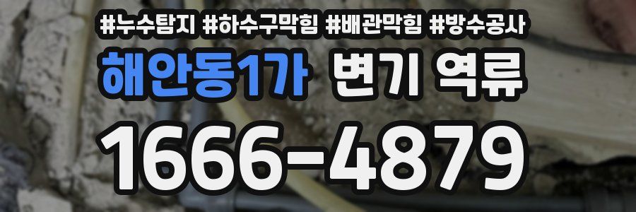 해안동1가 변기 역류