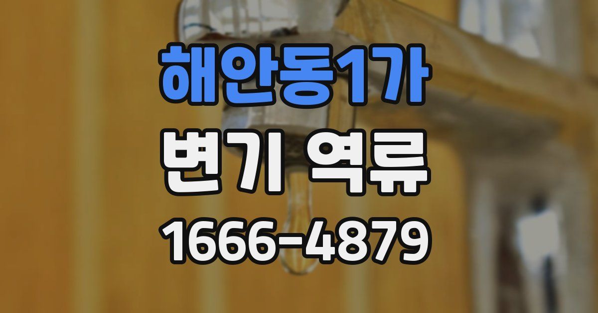 해안동1가 변기 역류