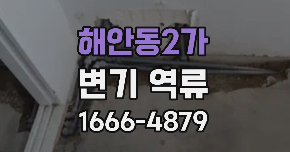 해안동2가 변기 역류